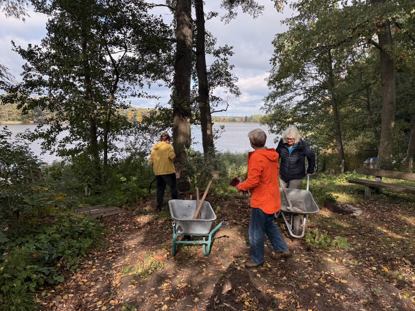 Baumpflege – Foto 2